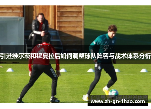 引进维尔茨和穆夏拉后如何调整球队阵容与战术体系分析