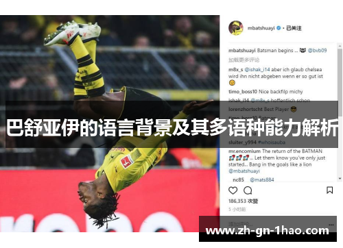 巴舒亚伊的语言背景及其多语种能力解析 巴舒亚伊的语言背景及其多语种能力解析