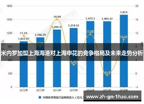 米内罗加盟上海海港对上海申花的竞争格局及未来走势分析 米内罗加盟上海海港对上海申花的竞争格局及未来走势分析