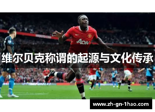 维尔贝克称谓的起源与文化传承 维尔贝克称谓的起源与文化传承