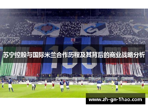 苏宁控股与国际米兰合作历程及其背后的商业战略分析 苏宁控股与国际米兰合作历程及其背后的商业战略分析